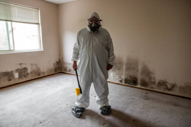 Best DIY Mold Remediation Support Services in Ardsley, NY